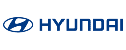 logo hiunday 250x100 1